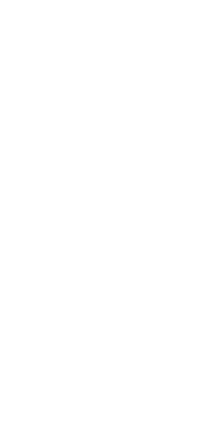 shape-img2 img